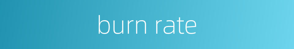 burn rate的同义词
