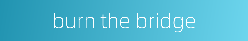 burn the bridge的同义词