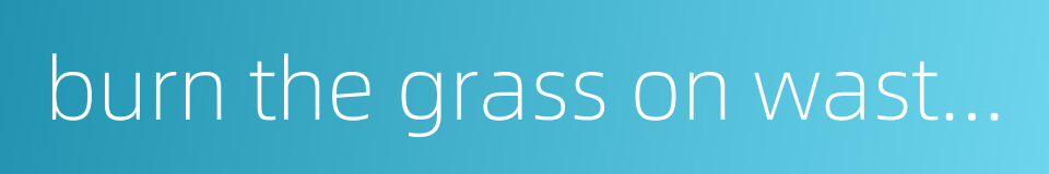 burn the grass on waste land的同义词