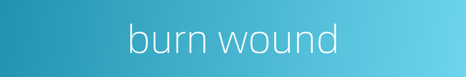 burn wound的同义词