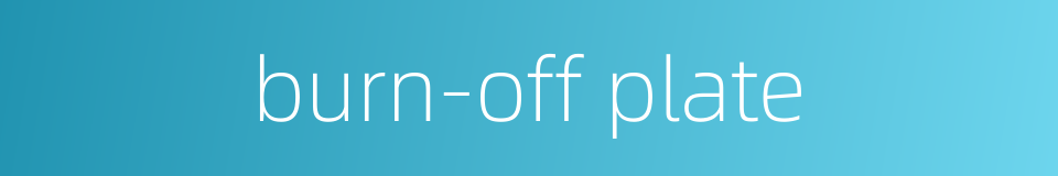 burn-off plate的同义词