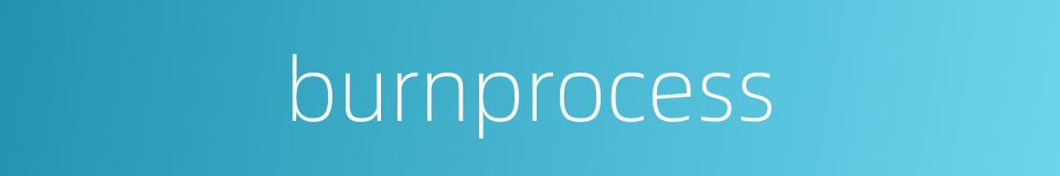 burnprocess的同义词