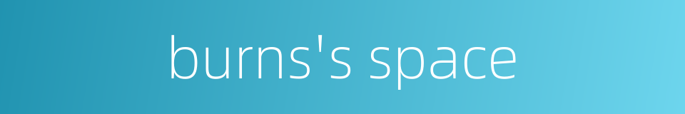 burns's space的同义词