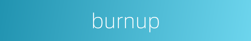 burnup的同义词