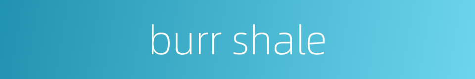 burr shale的同义词