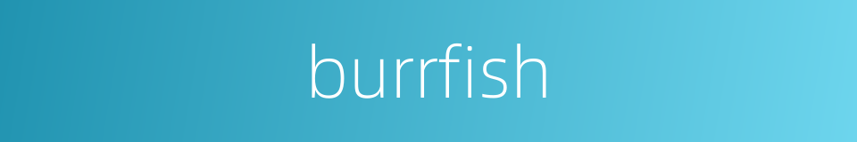 burrfish的同义词