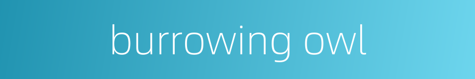burrowing owl的同义词