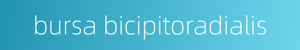 bursa bicipitoradialis的同义词