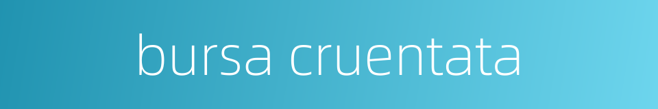 bursa cruentata的同义词