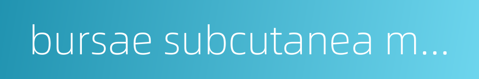 bursae subcutanea malleoli medialis的同义词