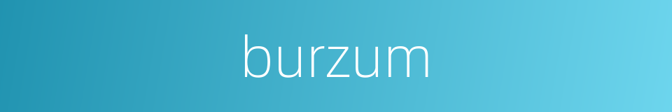 burzum的同义词