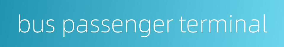 bus passenger terminal的同义词