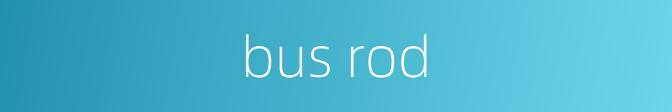 bus rod的同义词