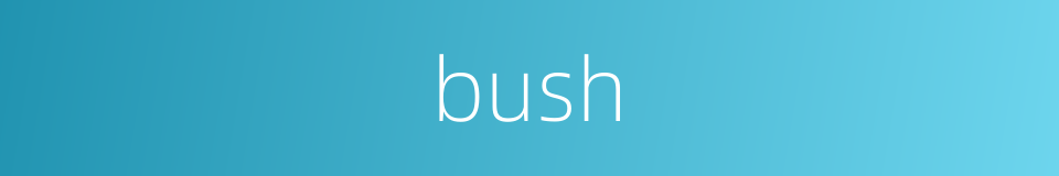 bush的同义词