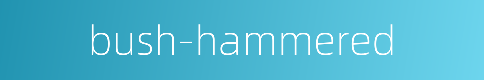 bush-hammered的同义词