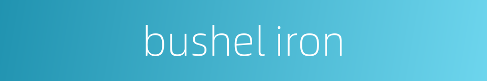 bushel iron的同义词