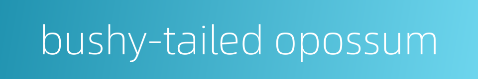 bushy-tailed opossum的同义词