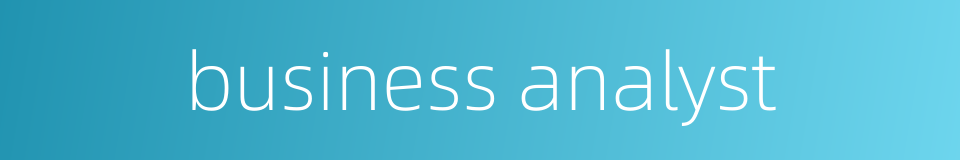 business analyst的同义词