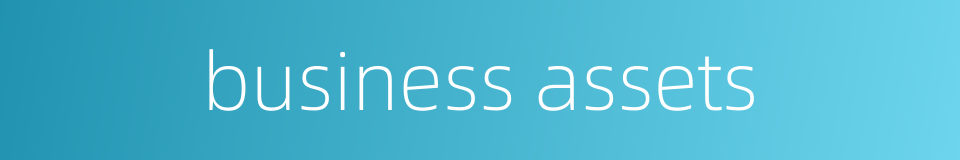 business assets的同义词