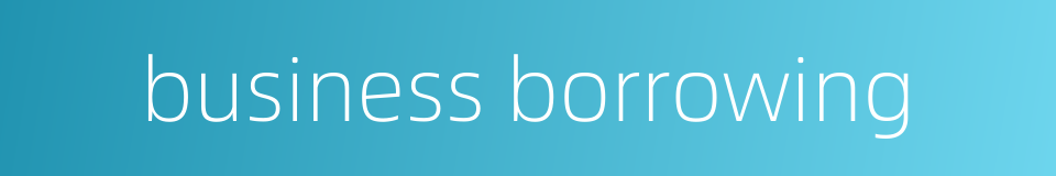 business borrowing的同义词