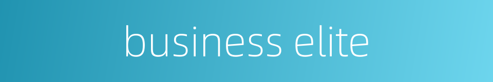 business elite的同义词