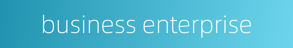 business enterprise的同义词