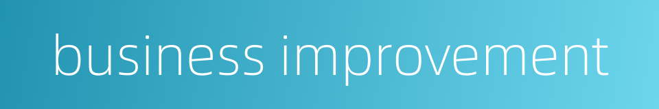 business improvement的同义词