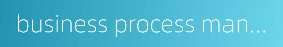 business process management software的同义词