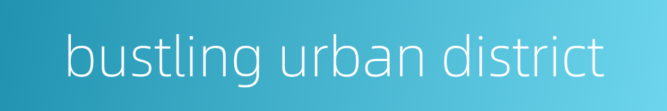 bustling urban district的同义词