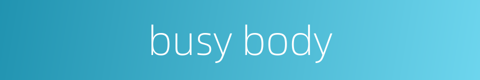 busy body的同义词