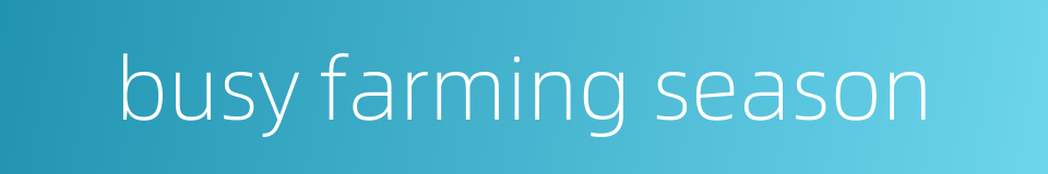 busy farming season的同义词