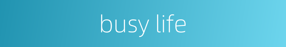 busy life的同义词