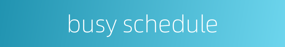 busy schedule的同义词