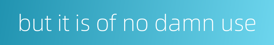 but it is of no damn use的同义词