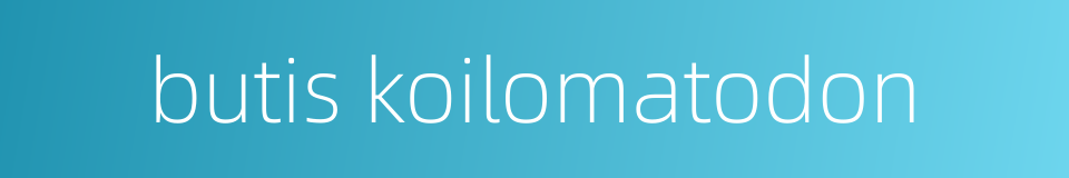 butis koilomatodon的同义词
