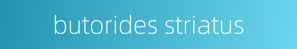 butorides striatus的同义词