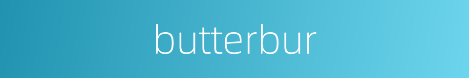 butterbur的同义词