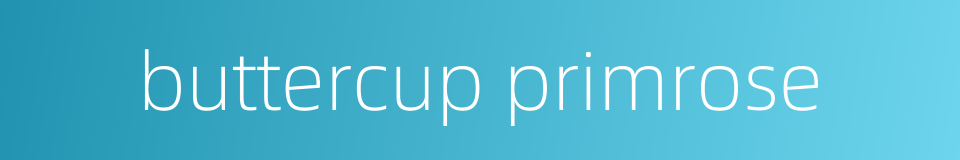 buttercup primrose的同义词