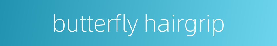 butterfly hairgrip的同义词