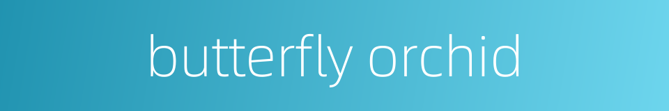 butterfly orchid的同义词