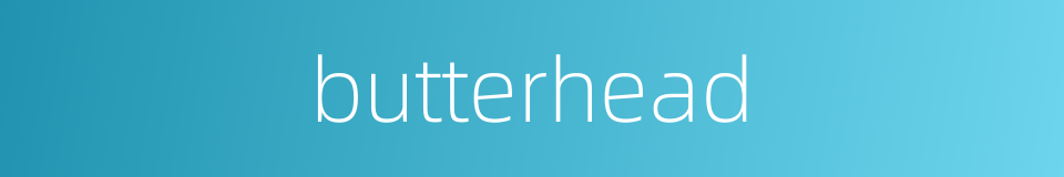 butterhead的同义词
