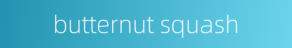butternut squash的同义词