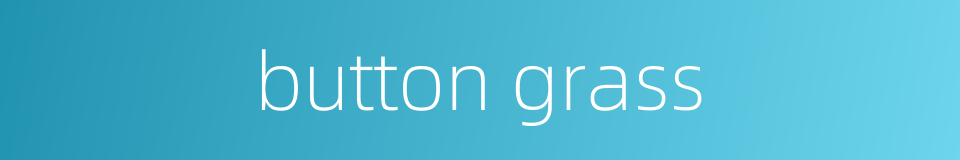 button grass的同义词