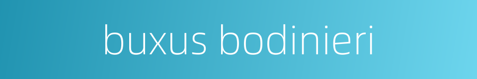 buxus bodinieri的同义词