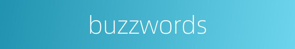 buzzwords的同义词