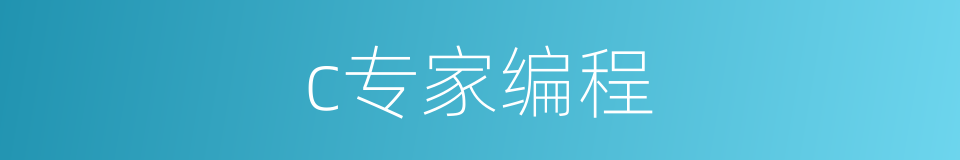 c专家编程的同义词