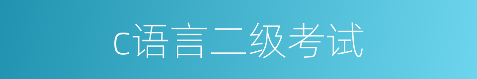 c语言二级考试的同义词