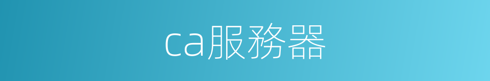 ca服務器的同義詞