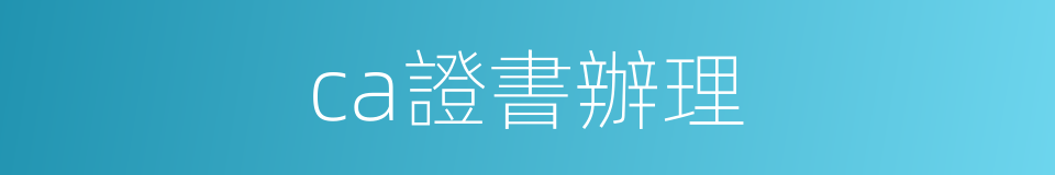 ca證書辦理的同義詞