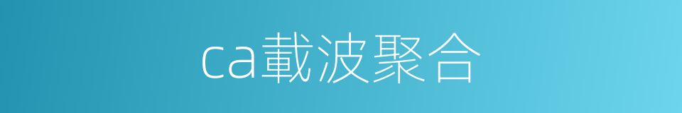 ca載波聚合的同義詞